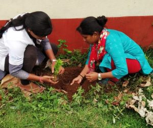 plantation